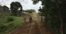 HACIENDA SAN GABRIEL, TOLIMA VEREDA MENDEZ, 700 HECTAREAS, GANADERA