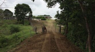 HACIENDA SAN GABRIEL, TOLIMA VEREDA MENDEZ, 700 HECTAREAS, GANADERA