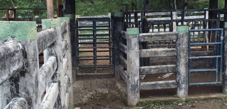 HACIENDA SAN GABRIEL, TOLIMA VEREDA MENDEZ, 700 HECTAREAS, GANADERA