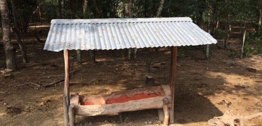 HACIENDA SAN GABRIEL, TOLIMA VEREDA MENDEZ, 700 HECTAREAS, GANADERA