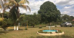 VENTA FINCA DE RECREO VILLAVICENCIO VEREDA APIAY CASA 220 M2 TERRENO 1.5 HECTAREAS