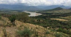 HACIENDA SAN GABRIEL, TOLIMA VEREDA MENDEZ, 700 HECTAREAS, GANADERA