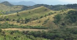 HACIENDA SAN GABRIEL, TOLIMA VEREDA MENDEZ, 700 HECTAREAS, GANADERA